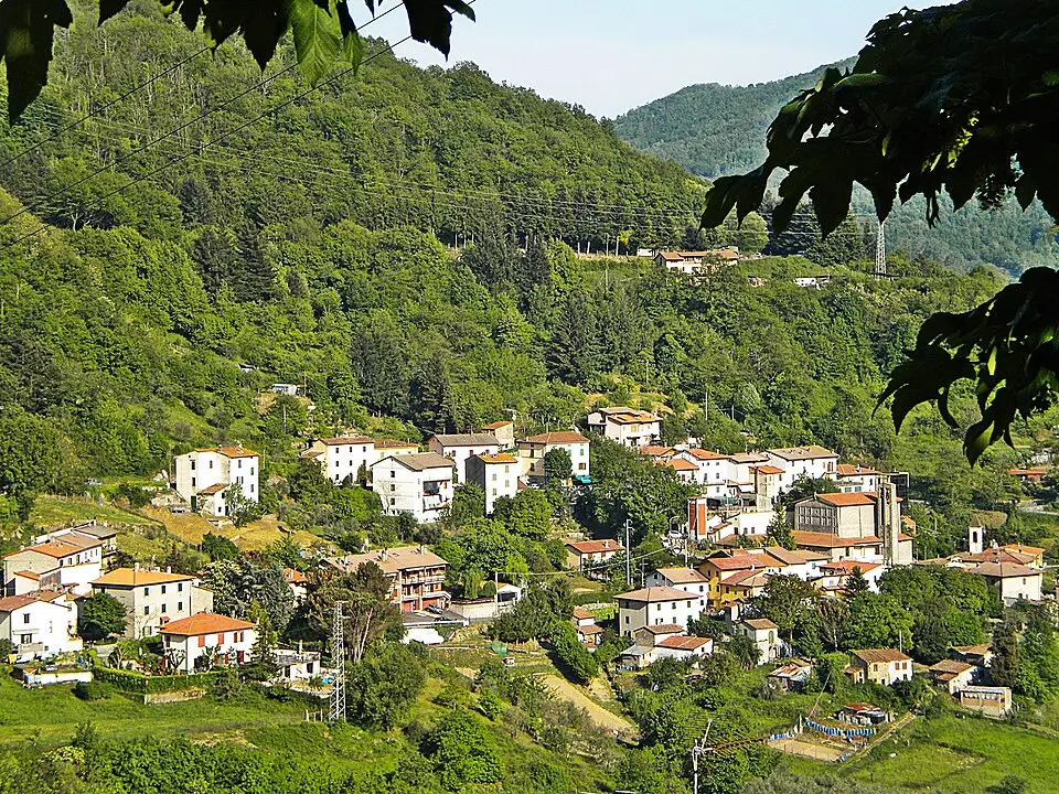 Sasseta