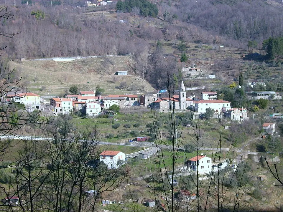 Sasseta