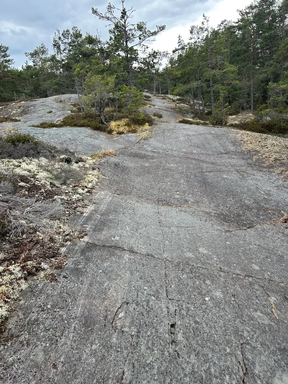 Réserve naturelle de la forêt du Nord