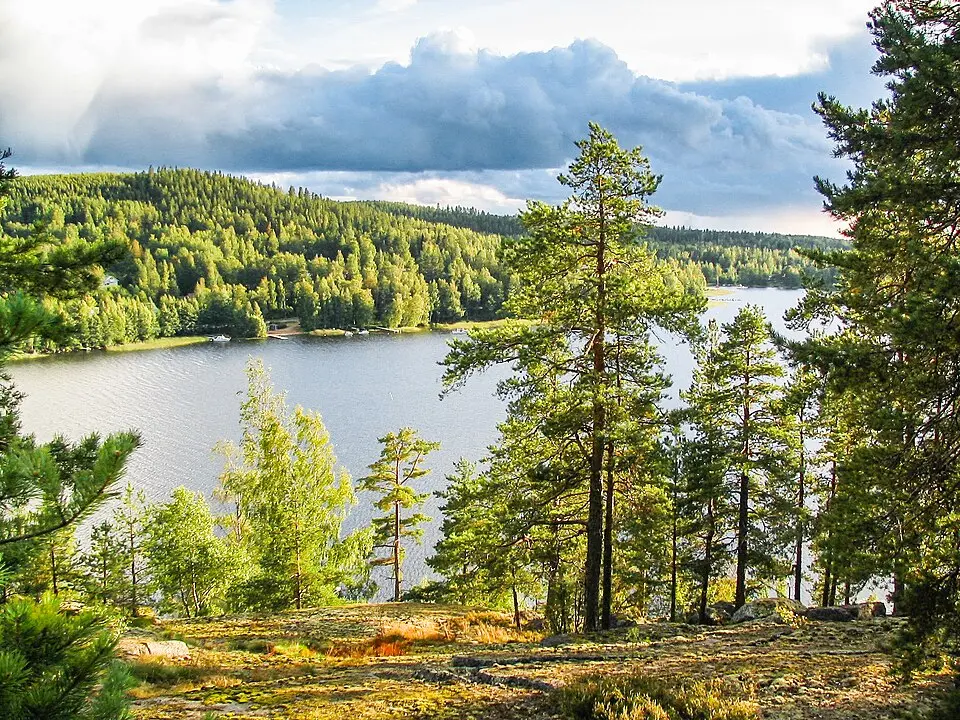 Muuratsalo