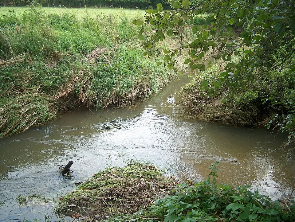 Satkula