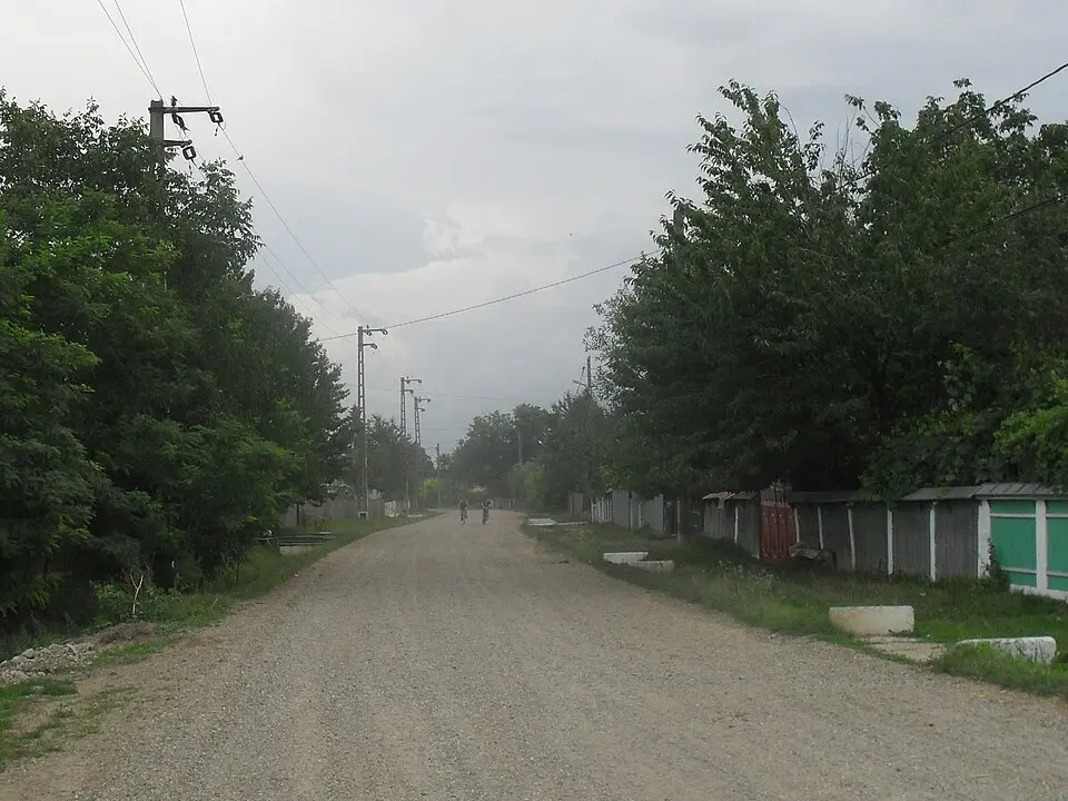 Săucești