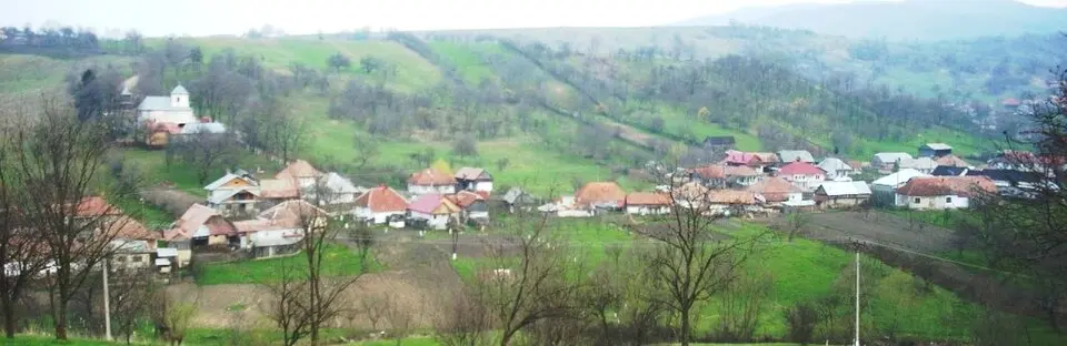 Poduri