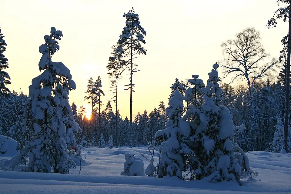 Nõmmeri