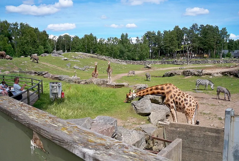 Slika: Mikael Ejdemyr · CC BY-SA 3.0 Borås djurpark