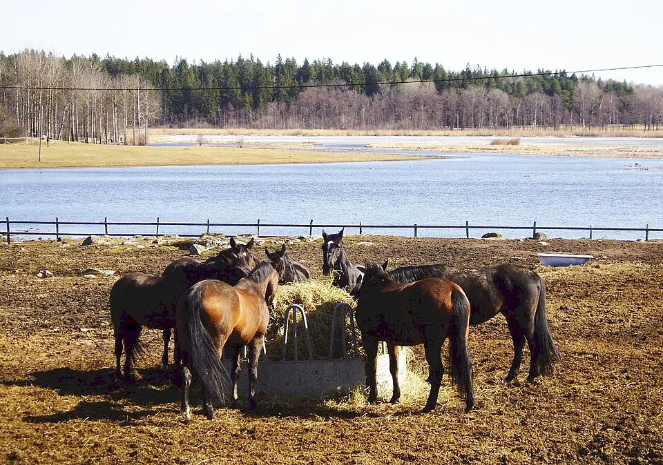 Västra Järvafältets naturreservat