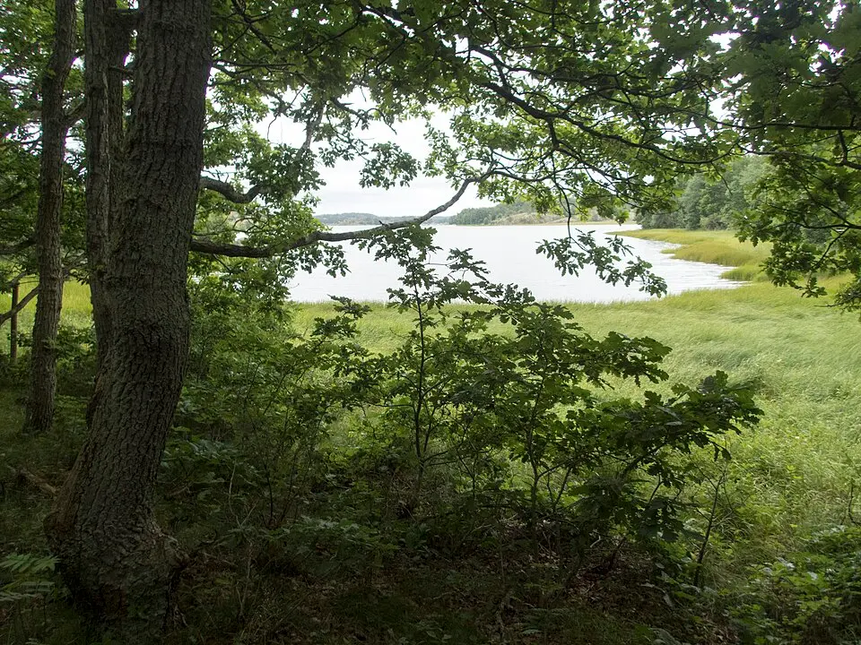 Vägeröds naturreservat