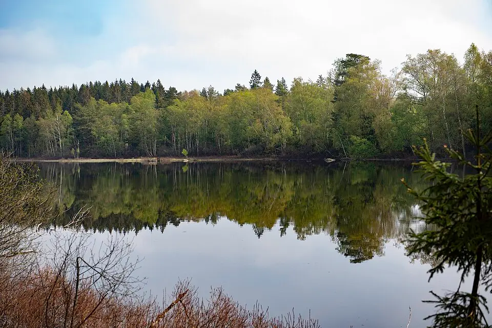 Sänneshults naturreservat