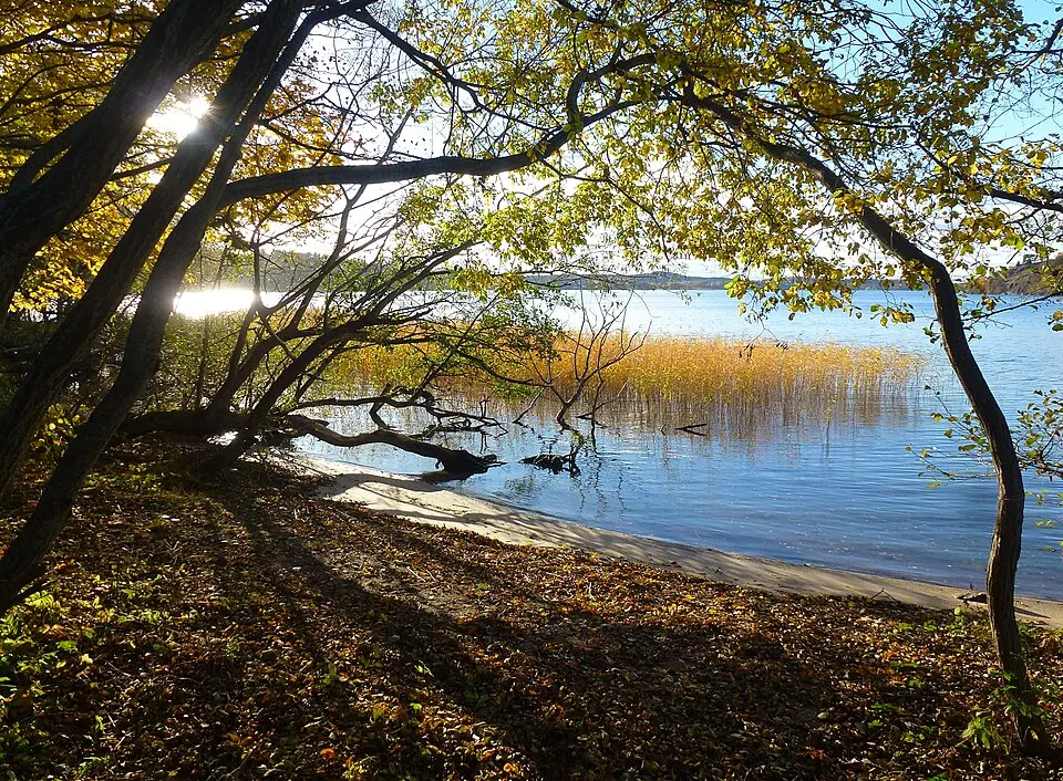 Sätraskogens naturreservat