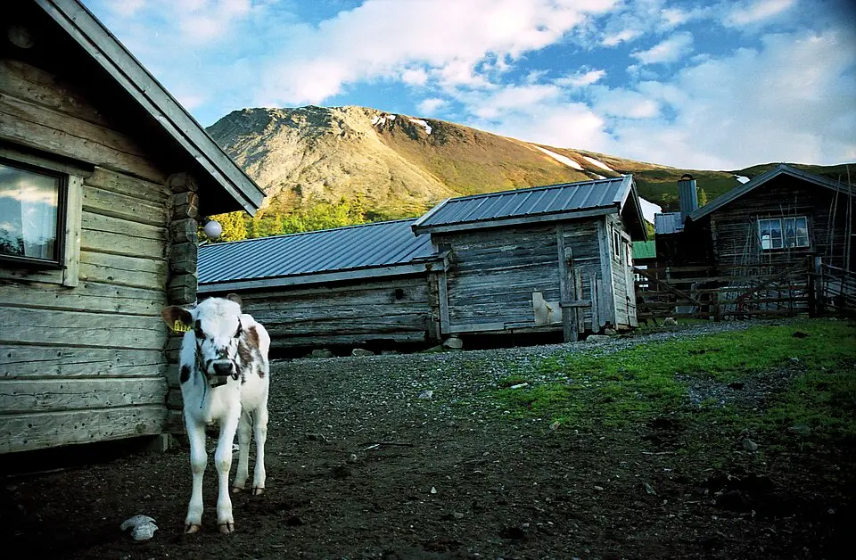Sonfjället