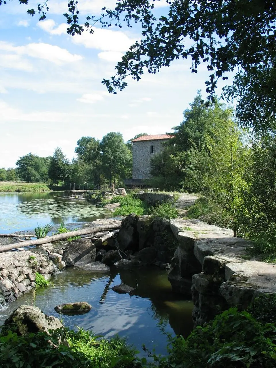 Mauges