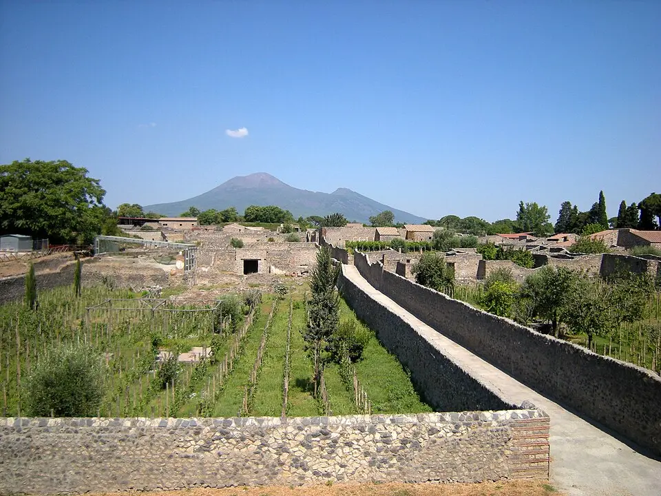 casa di Stabianus (I.22.2)