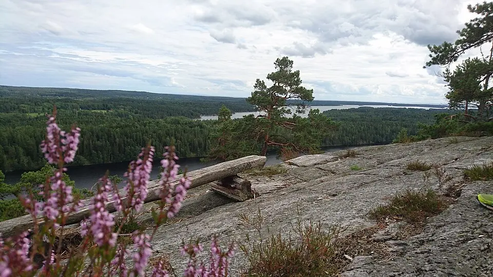 Sörknatten