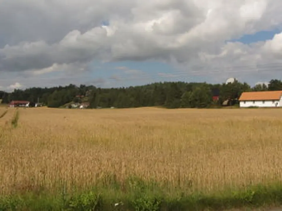 Linnestad