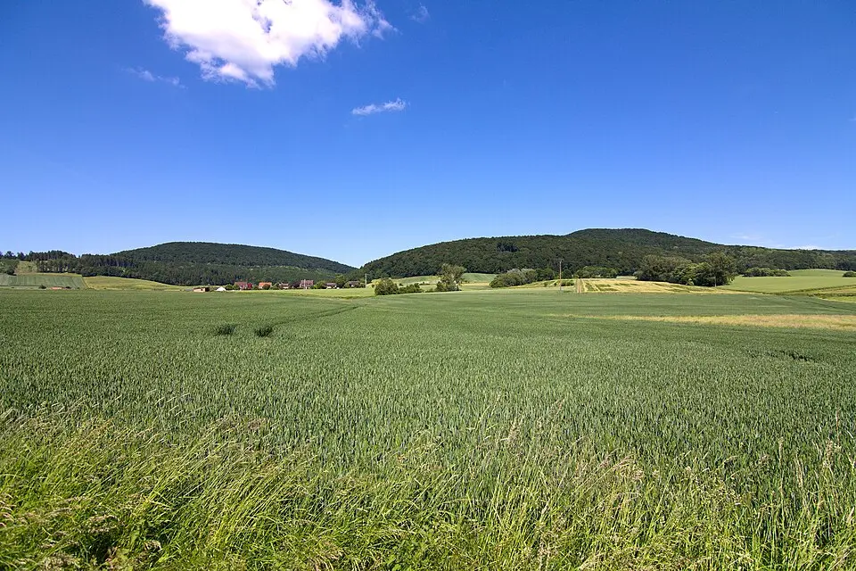 Süntel