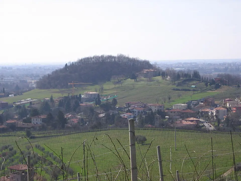 Negrone