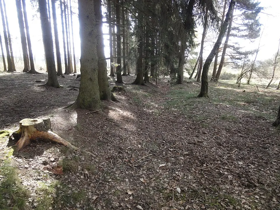 Schanze Eschbacher Klippen