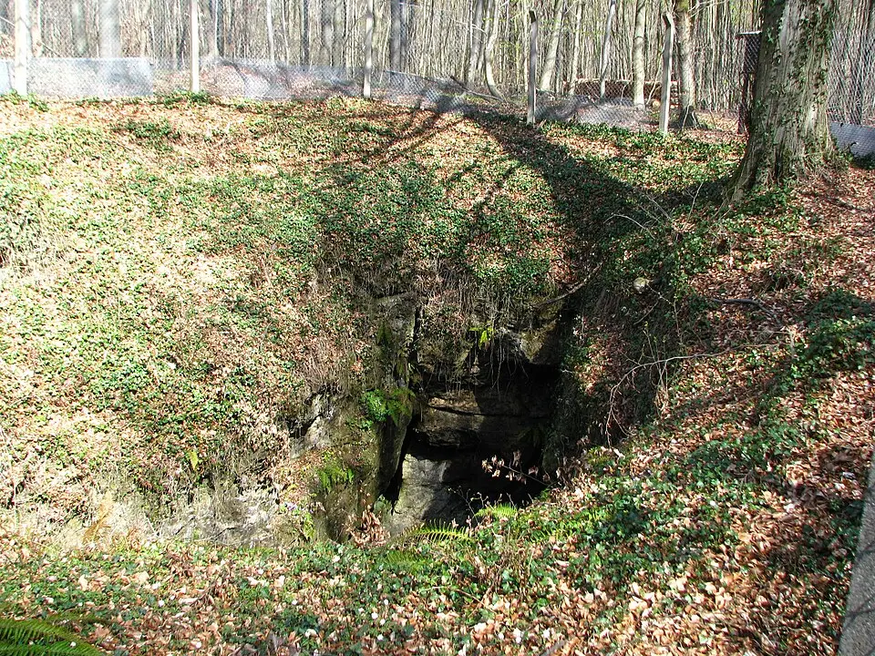 Einhornhöhle (Harz)