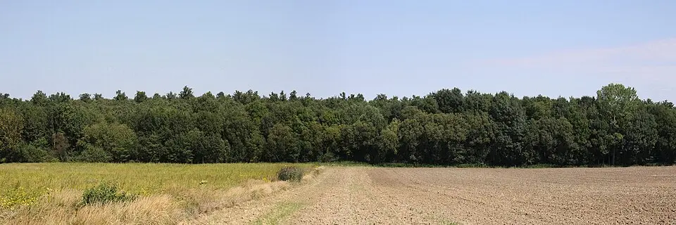 Hügelgräberfeld Haidspitzwald