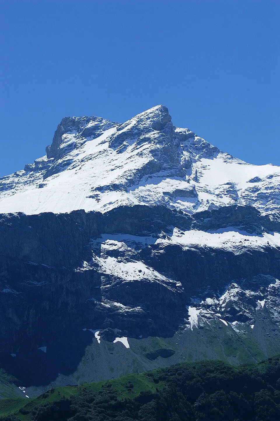 Gross Schärhorn