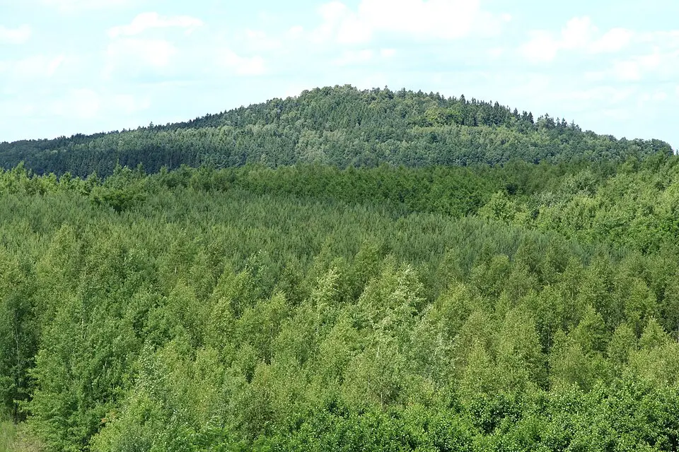 Schwarzer Berg (Jauernick)