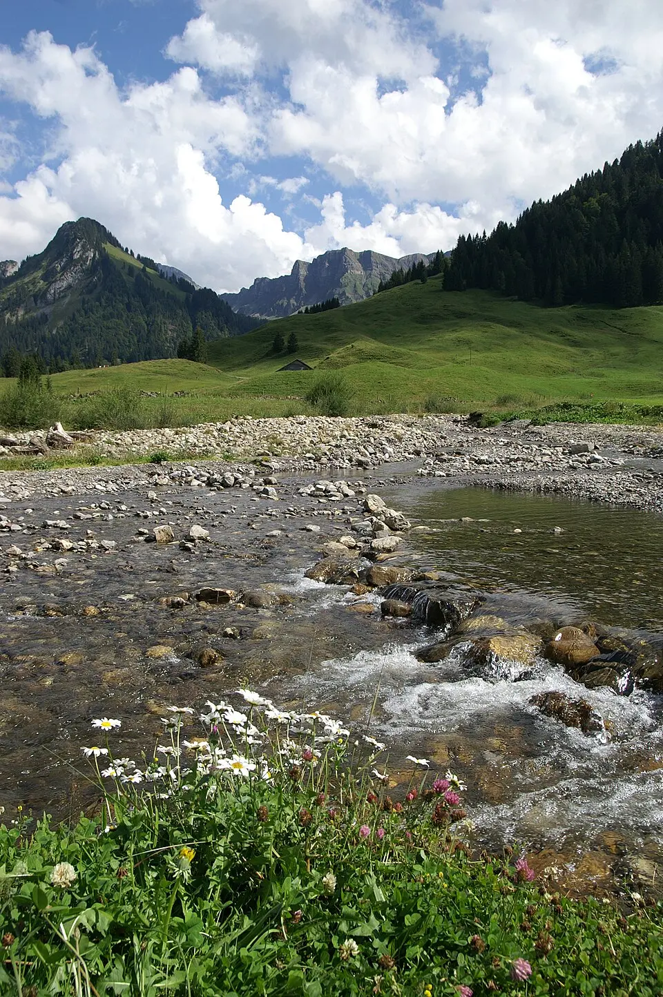 Subersach
