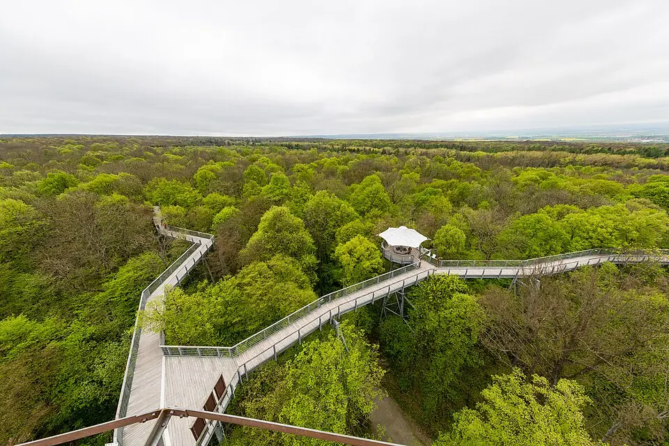 parc national de Hainich