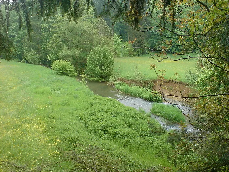 Schefflenz
