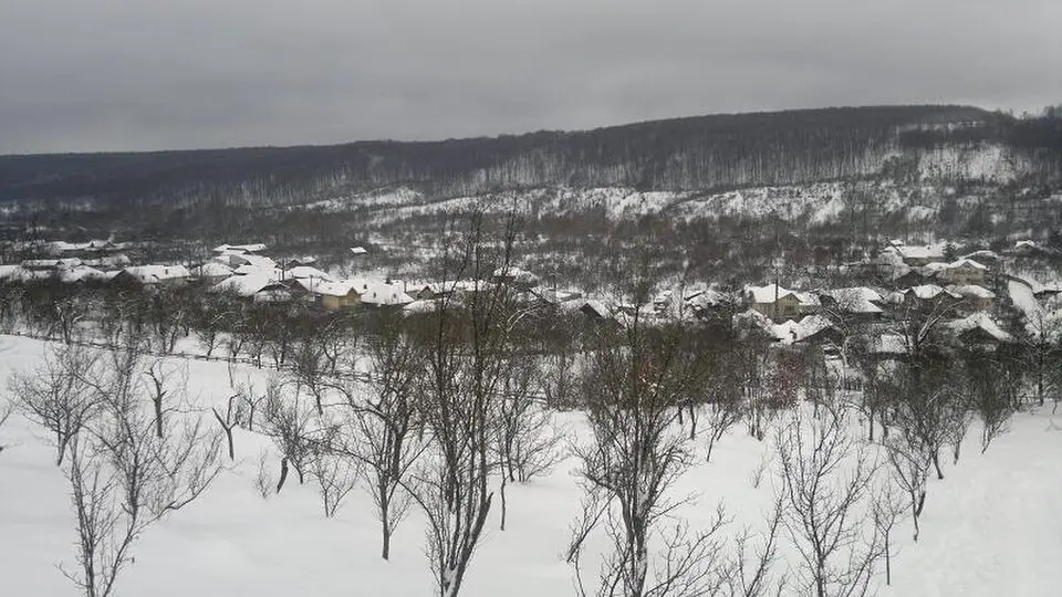 Ludești