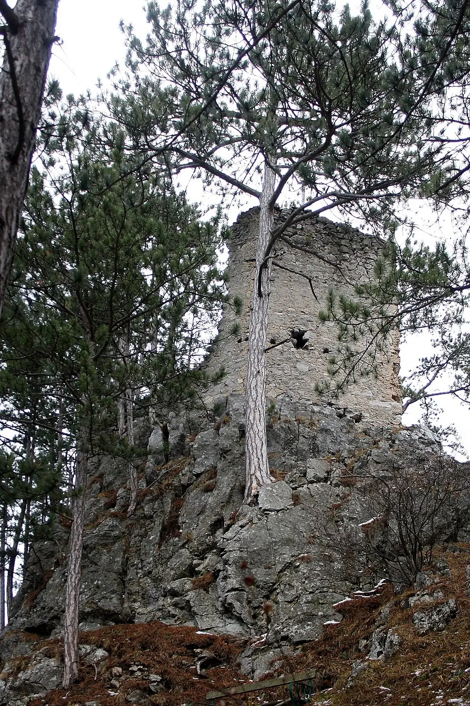 Burgruine Scheuchenstein