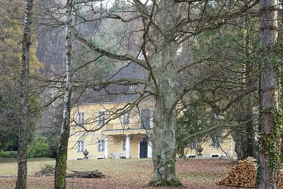 Schloss Schleinz