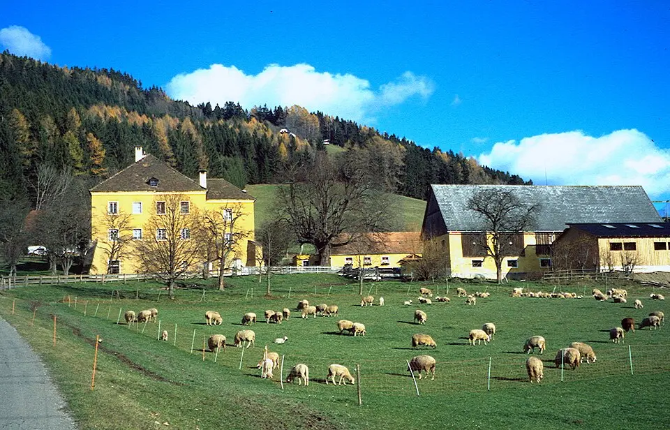 Bauernhof (Anlage) Schloßbauer