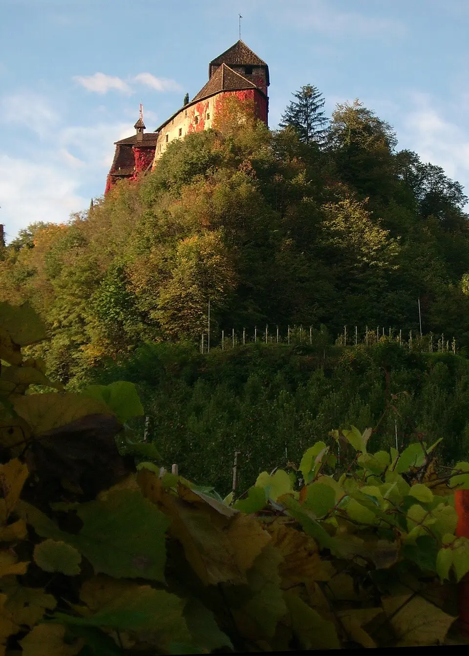 Burg Warth