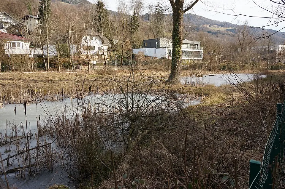 Schmederer Weiher
