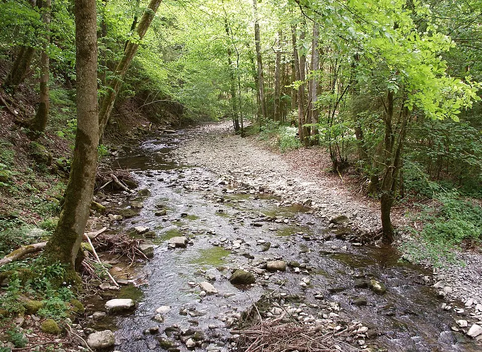 Schmerach