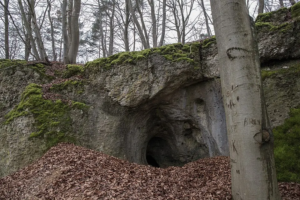 Image: Sven-121 · CC0 Bodendenkmal in Neukirchen bei Sulzbach-Rosenberg, #D-3-6435-0080