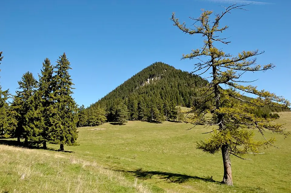 Schober