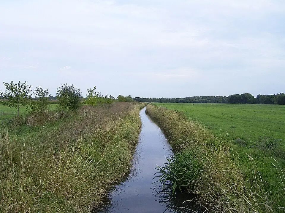 Fuhne