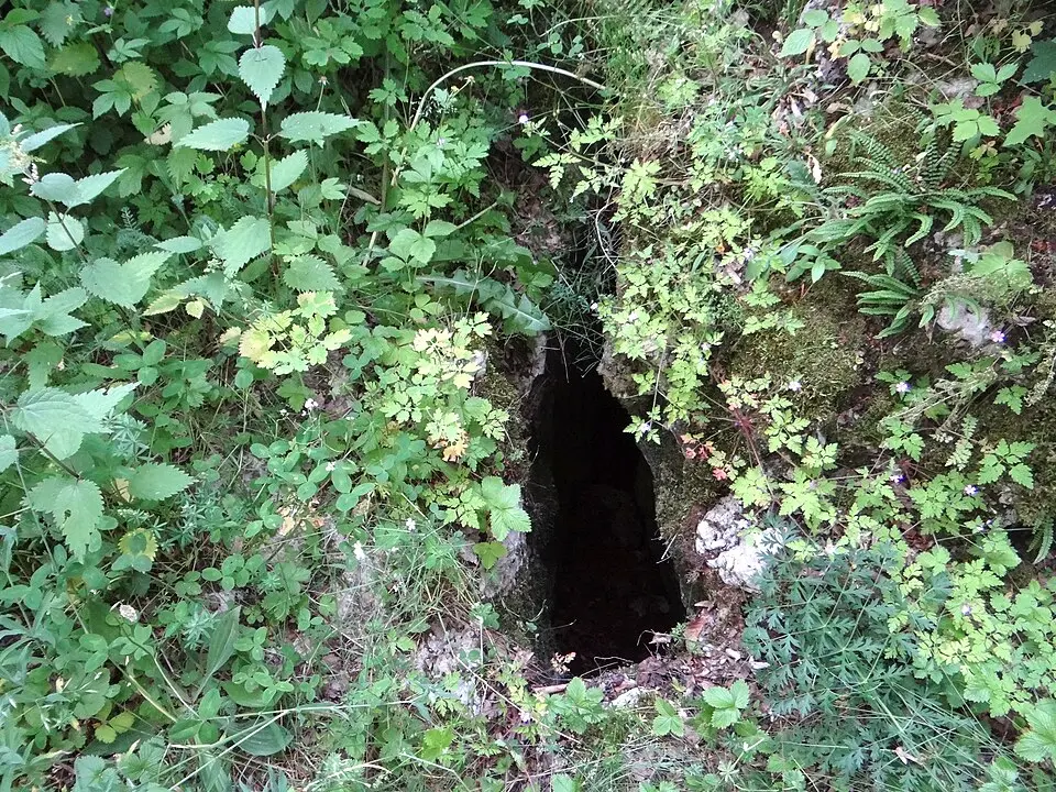 Schronisko Górne w Kosiej Górze