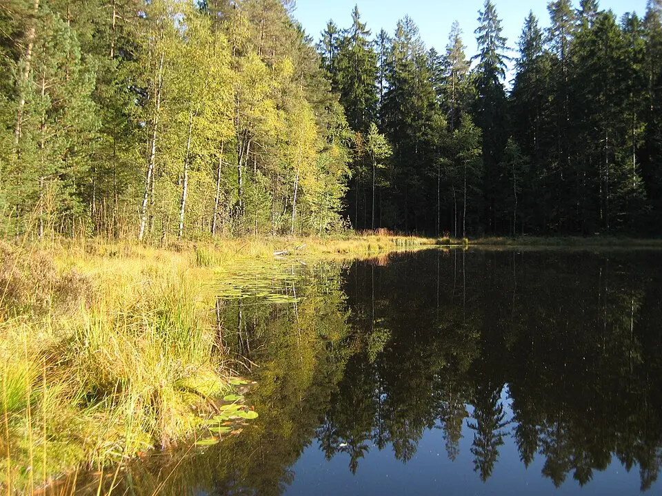 Schurmsee