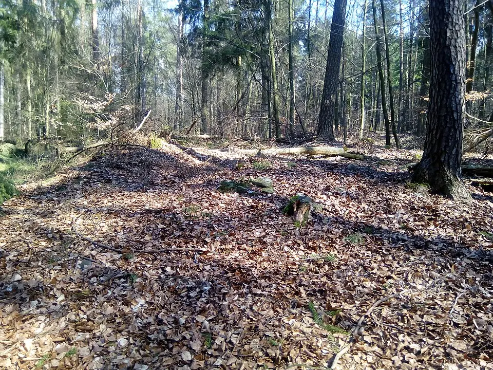 Image: Granpar · CC BY-SA 4.0 Römischer Wachturm Tannenwald (RLK 7/24)