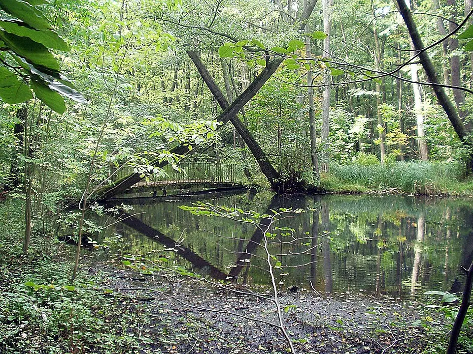 Hochgeladen von: Marcela · CC BY-SA 3.0 Schwärze