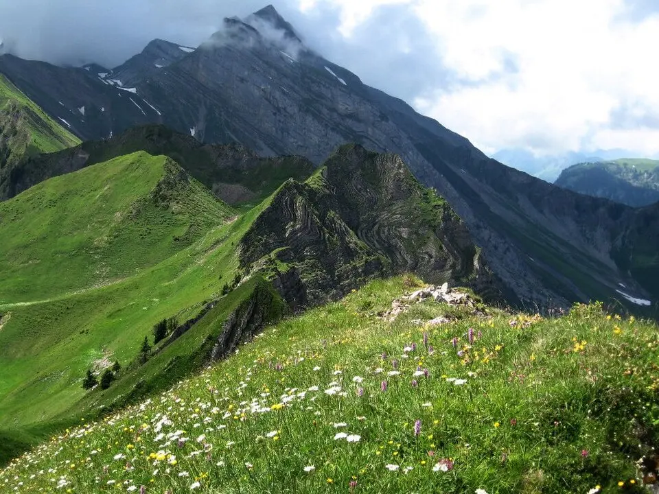 Schwalmis