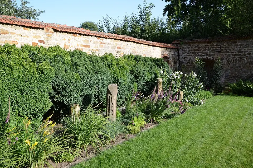Mauerreste der ehemaligen Klosteranlage