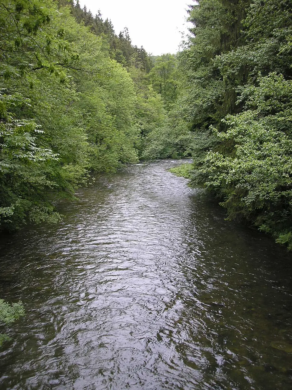 Schwarza