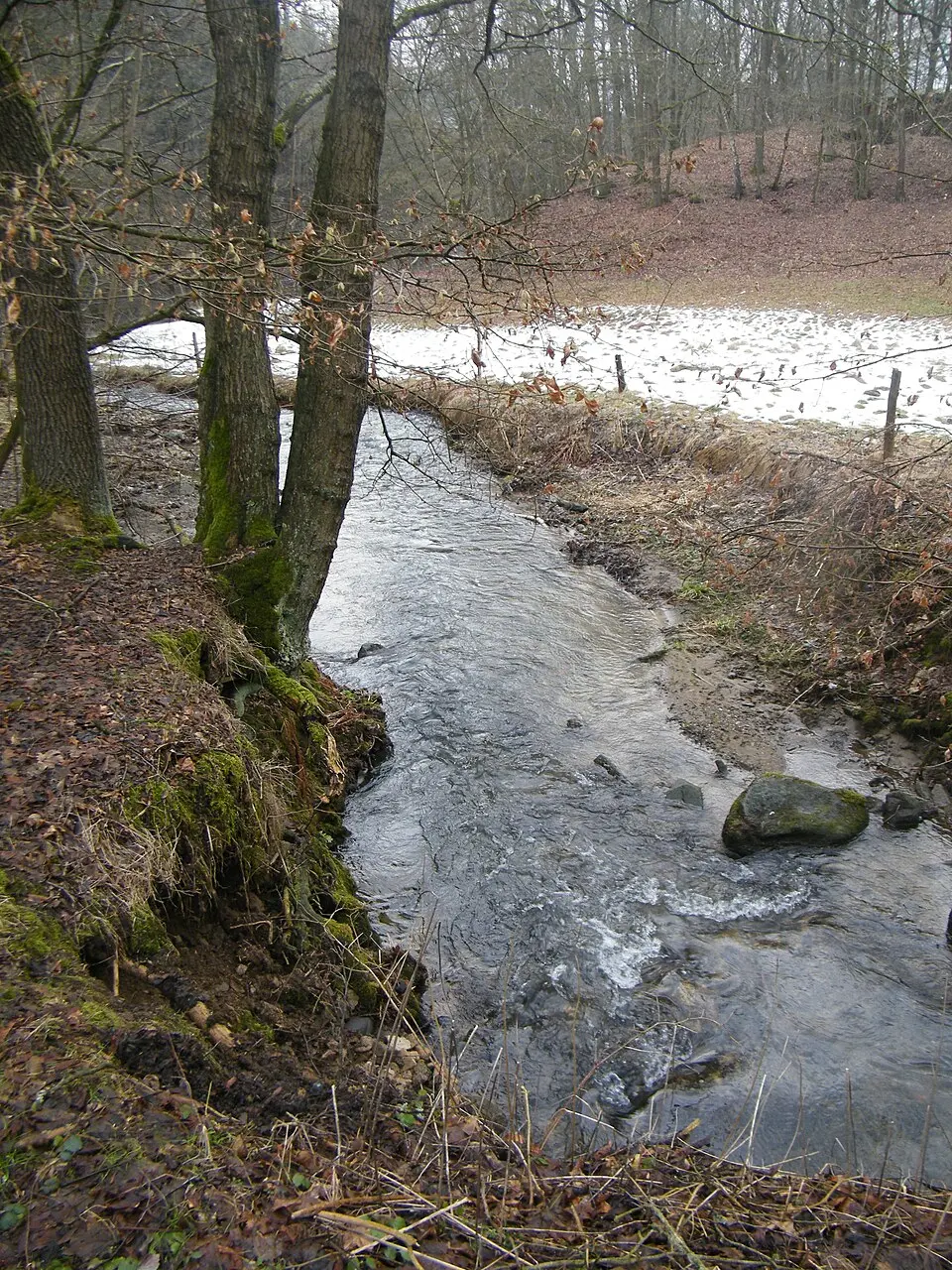 Schwarzbach