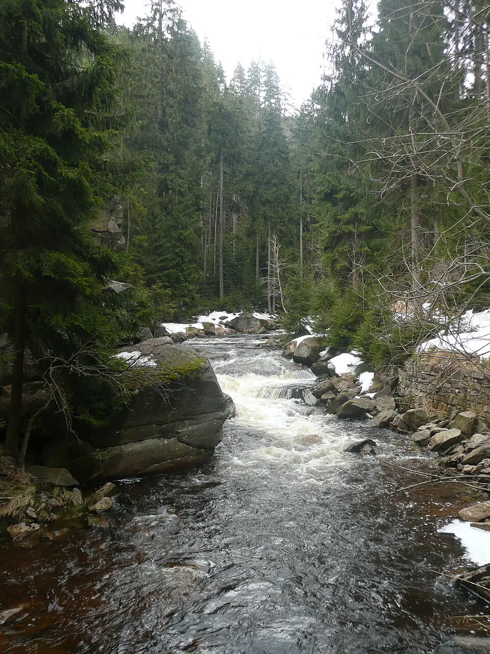 Schwarze Pockau