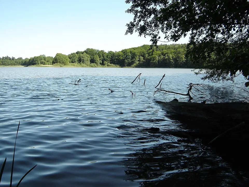 Schwarzer See (Mildenitz)
