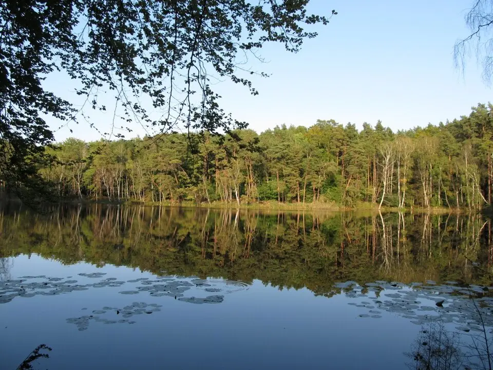 Korswandt
