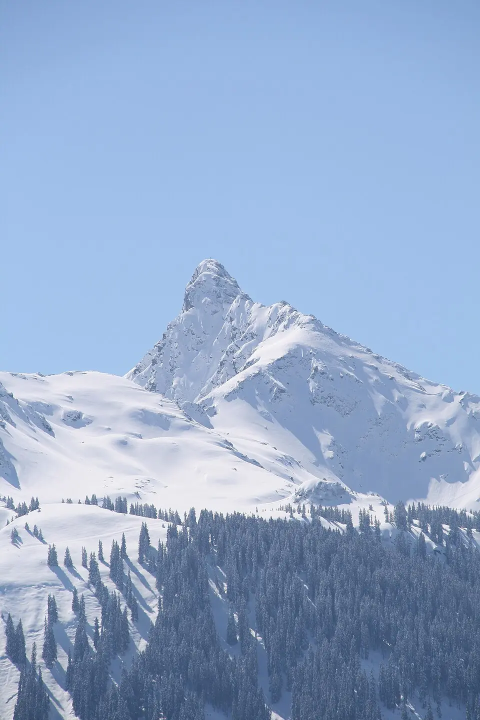 Tilisuna-Schwarzhorn